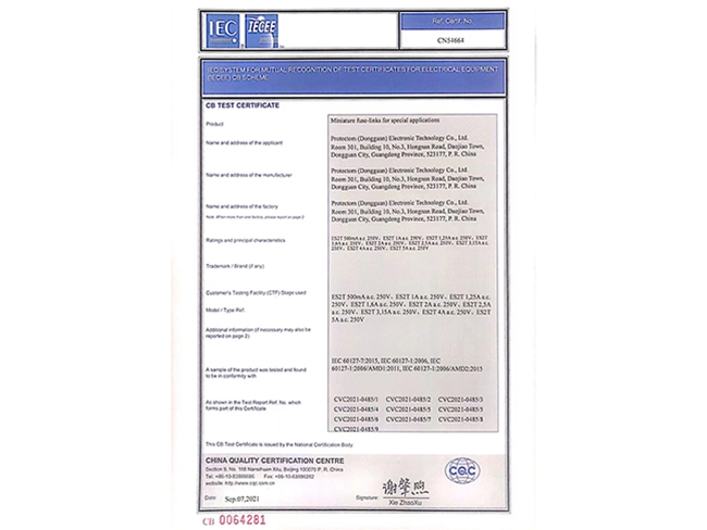 6125（2410）IEC證書
