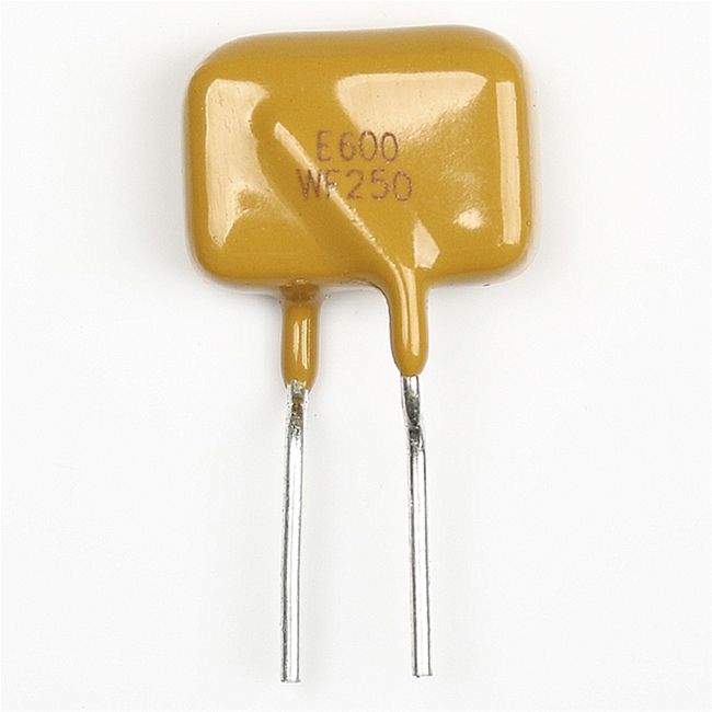 插件PTC自恢復(fù)保險(xiǎn)絲E600-WF250